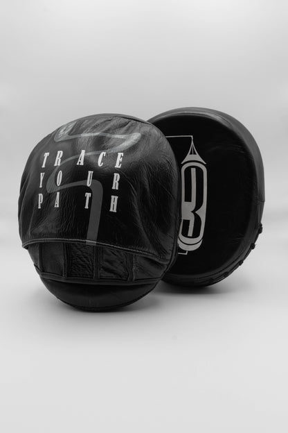 Traze Boxing Focus Mitts