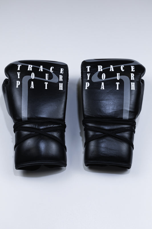 Path Tracer Sparring Gloves