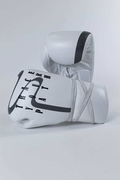Path Tracer Sparring Gloves