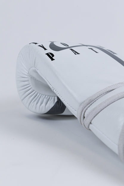 Path Tracer Sparring Gloves